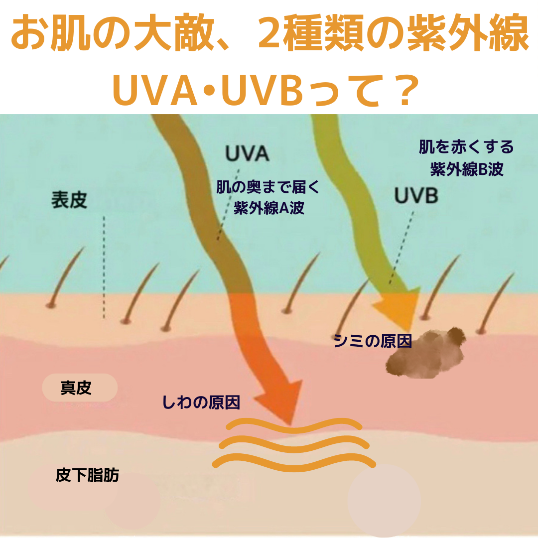 10��off�������ݼ����󥯥꡼��