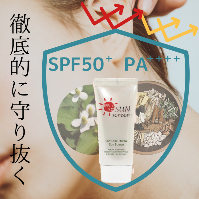 10��off�������ݼ����󥯥꡼��