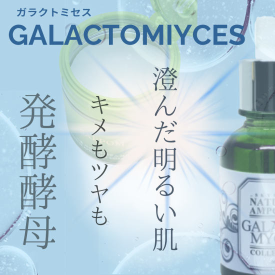 �¤餮���ȣ����ƥѥåɡ������ѡ��ʣ��ȣ����å��󥹥ѥåɡ�10�����˥��������ԥ󥻥åȤϤĤ��ޤ����̾����600�ߡ��ǹ�660�ߡ�