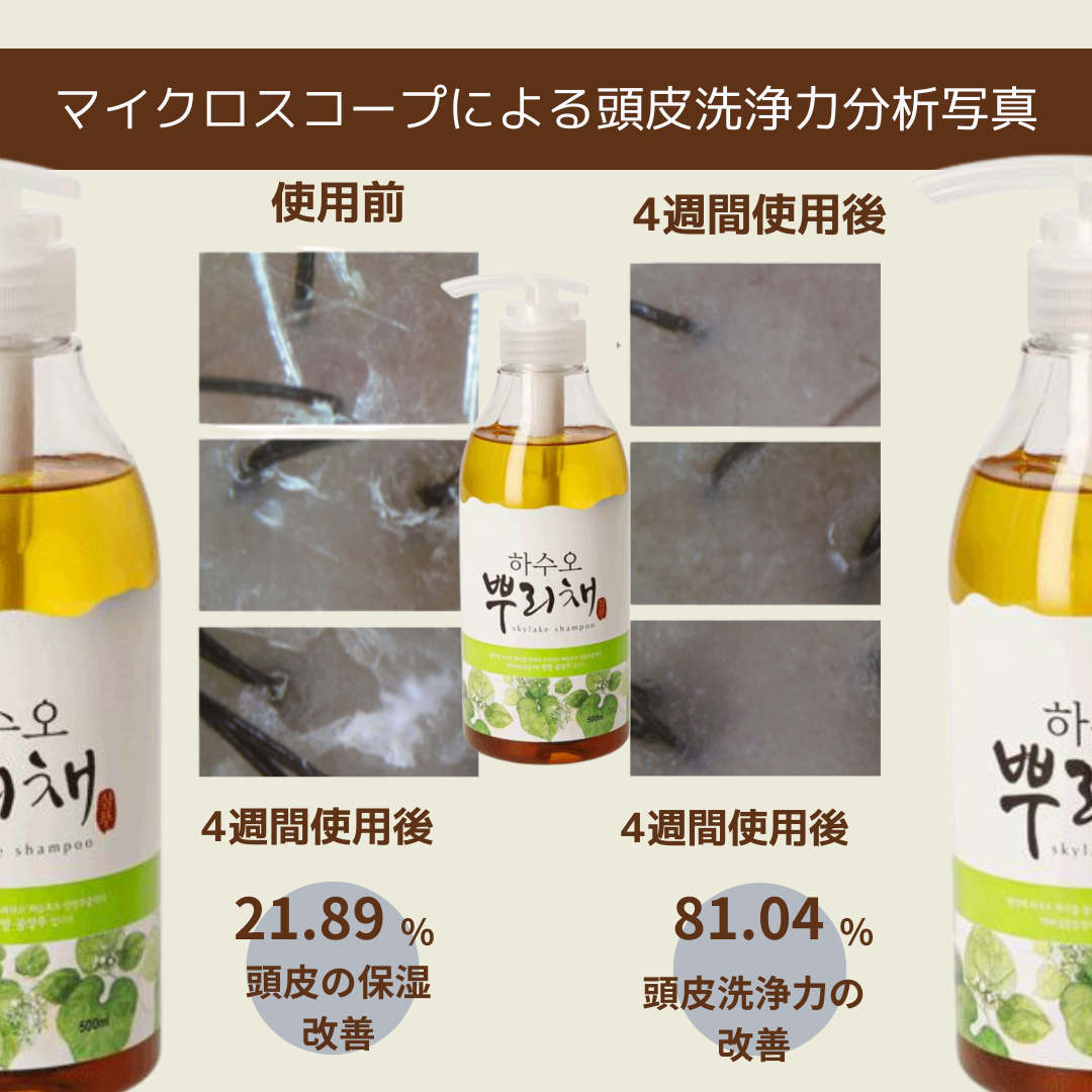 ��4�����åȢ䥯���륷���ס�500ml��2�ܡ��ץ�ߥ���إ����ѥå�&����ǥ�����ʡ���2�� 1,300��OFF ����ŵ�������륷���ס�40ml��2��7��15���ޤ� ��˾�������12,400�ߡ����̡�13,640�ߡ��ǹ���
