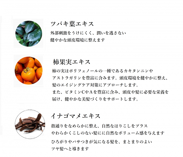 ��5��off  �ץ�ߥ���إ��ѥå�������ǥ�����ʡ�  230ml ���ǥ����� �̾���ʡ�2800��(�ǹ�3080�ߡ�