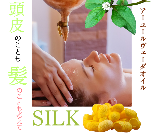 ��5��off  �ץ�ߥ���إ��ѥå�������ǥ�����ʡ�  230ml ���ǥ����� �̾���ʡ�2800��(�ǹ�3080�ߡ�