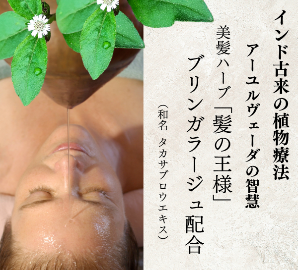 ��5��off  �ץ�ߥ���إ��ѥå�������ǥ�����ʡ�  230ml ���ǥ����� �̾���ʡ�2800��(�ǹ�3080�ߡ�