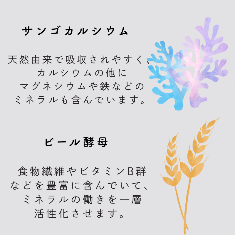 EM�Ȥˤʤ�ߥͥ�롡810γ