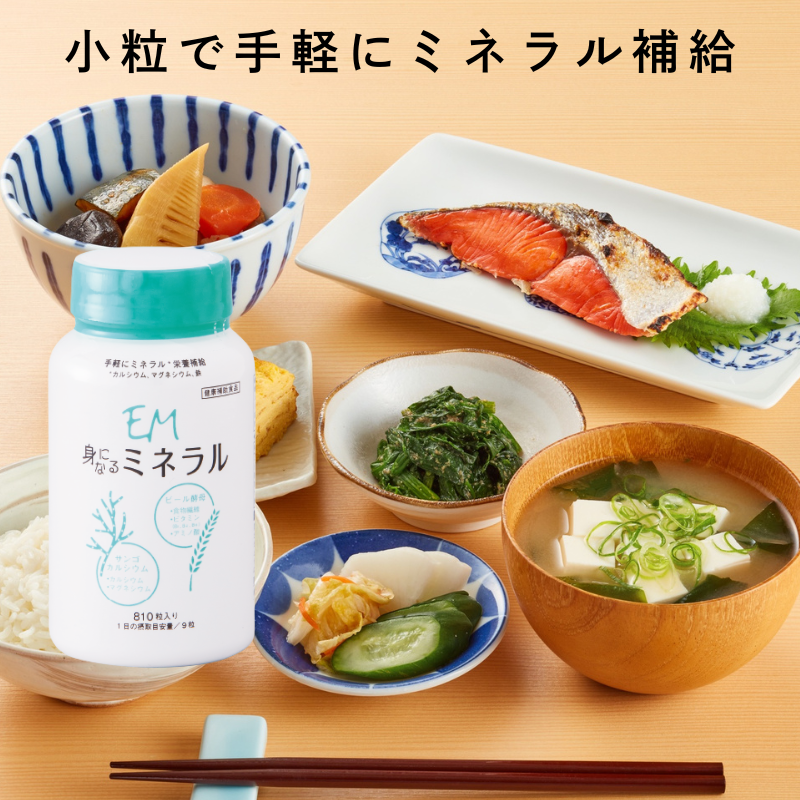 EM�Ȥˤʤ�ߥͥ�롡810γ
