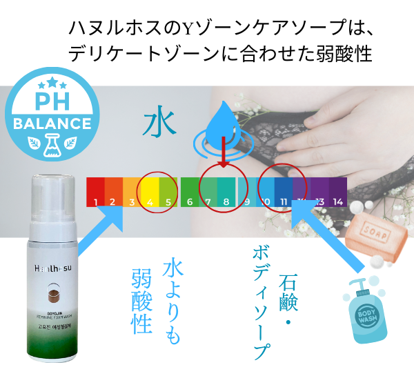 5%off Yˢեߥ˥󥽡ס̾3000ߡǹ3300ߡ