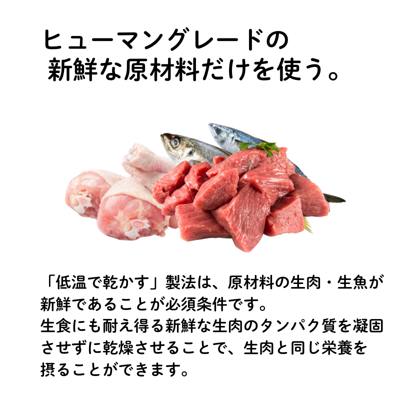 �錄���β�²��EM-X�ɥå��ա��� �����������130g 10%OFF����ŵ����EMW��10ml �ߡ�1�񡡡ۡ�EMX��GOLD�۹硦�񻺡�̵ź�á����Ǯ�������ɥ饤��ˡ �ɥå��ա��ɡ���