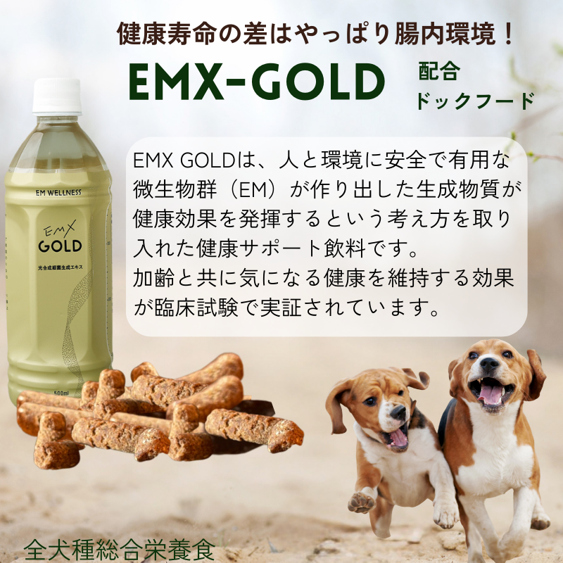 �錄���β�²��EM-X�ɥå��ա��� �����������130g 10%OFF����ŵ����EMW��10ml �ߡ�1�񡡡ۡ�EMX��GOLD�۹硦�񻺡�̵ź�á����Ǯ�������ɥ饤��ˡ �ɥå��ա��ɡ���