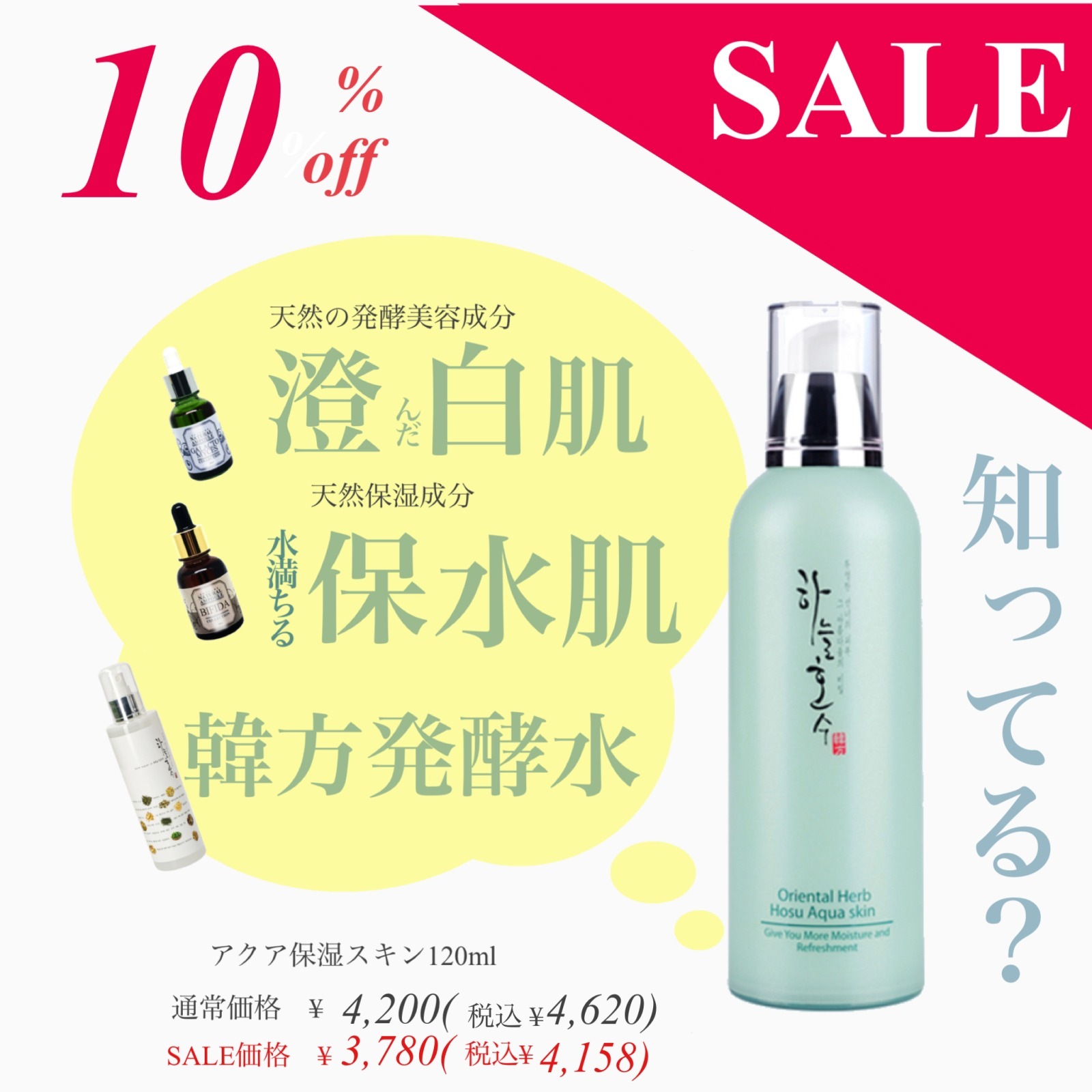 ��10%OFF�� �Х������ݼ�������(���ѿ�) ���ݿ岽�ѿ塡�̾���ʡ�4200�ߡ��ǹ�4620�ߡ�