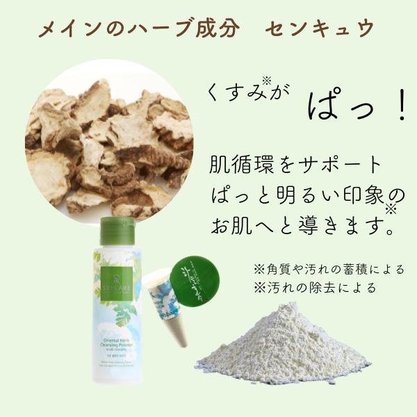 �����佪λ�ˤĤ��߸˸¤��10��OFF ����󥸥󥰥ѥ�������GT��green tea�ˡ�45g������ŵ ����󥸥󥰥ѥ��������ץ���5�ġʼ���Ϥ�Ǥ�����������ˡۡ�
