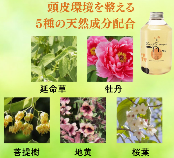 ������ɥ����ס��ץ饹��500g�ʥݥ�פ������