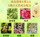������ɥ����ס��ץ饹��500g�ʥݥ�פ������