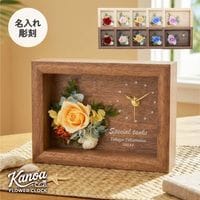 Kanoa(���Υ�)-�����˴��ź��������£��ʪ