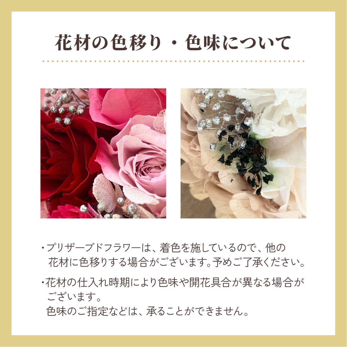 Arvo�ʥ�������ˡ�̾����ץꥶ���֥ɥե� �ե��ȥե졼�����