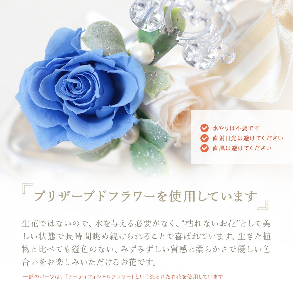 Princess -�ץ�󥻥�-