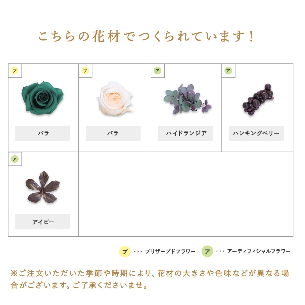 NEW�ե�磻�ɥ����å�