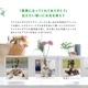 PURE GRACE for PET<br>-�ԥ奢 ���졼�� for �ڥå�-