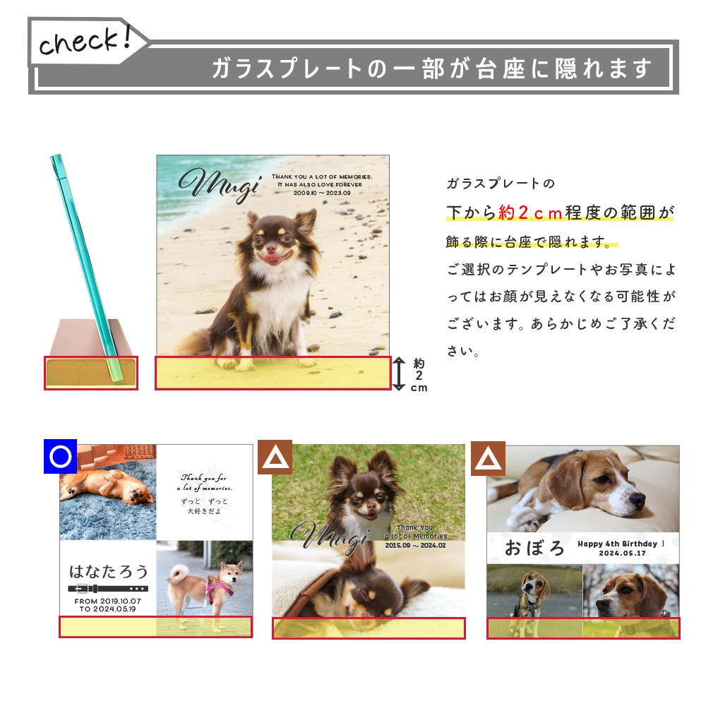 �ե��ȥ��饹������� for PET