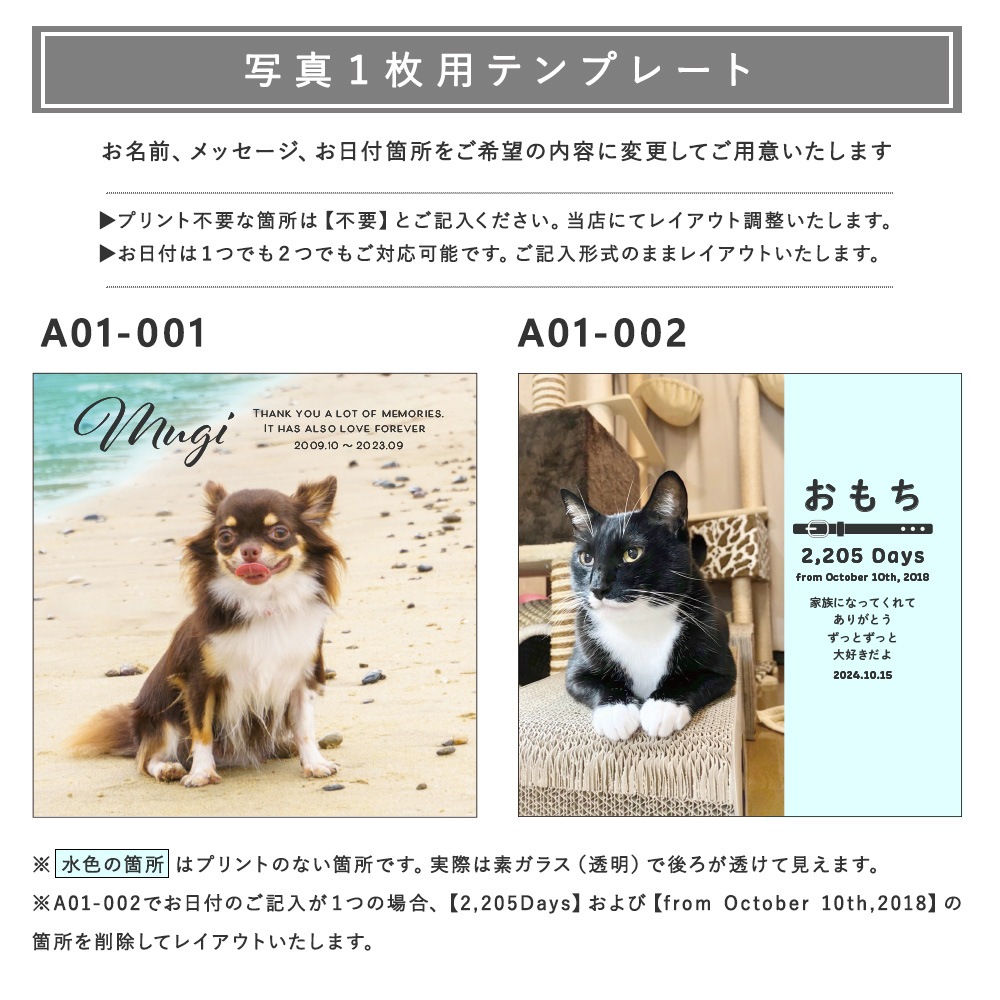 �ե��ȥ��饹������� for PET