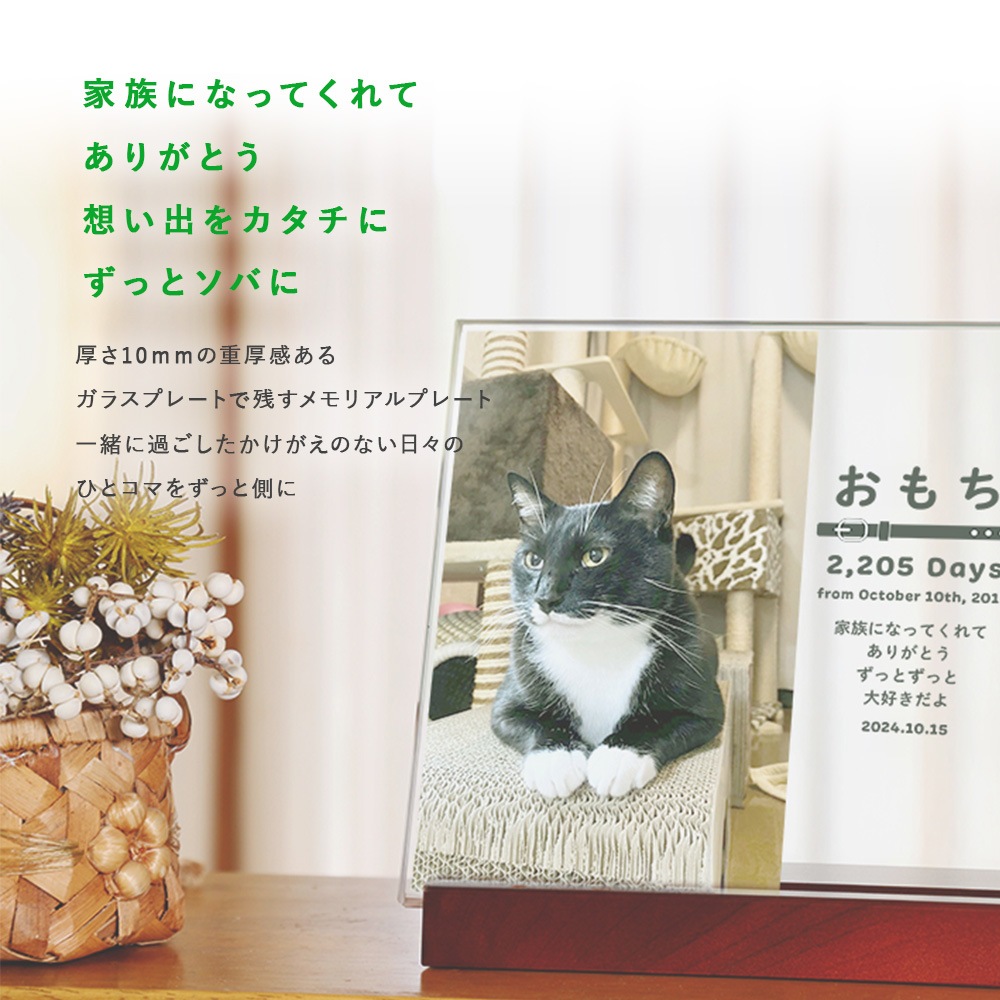 �ե��ȥ��饹������� for PET