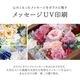 Hanahuru-�Ϥʤդ�-