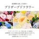 Hanahuru-�Ϥʤդ�-