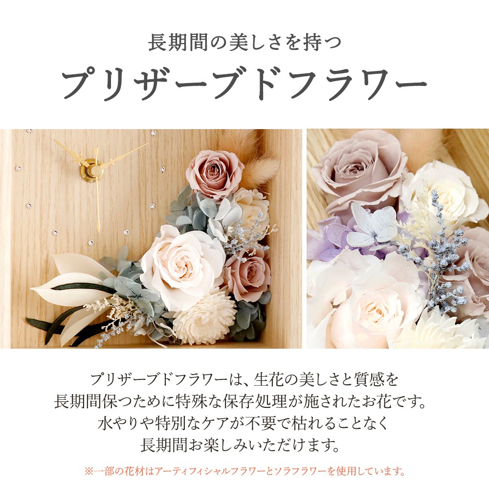 Solage -���顼����-