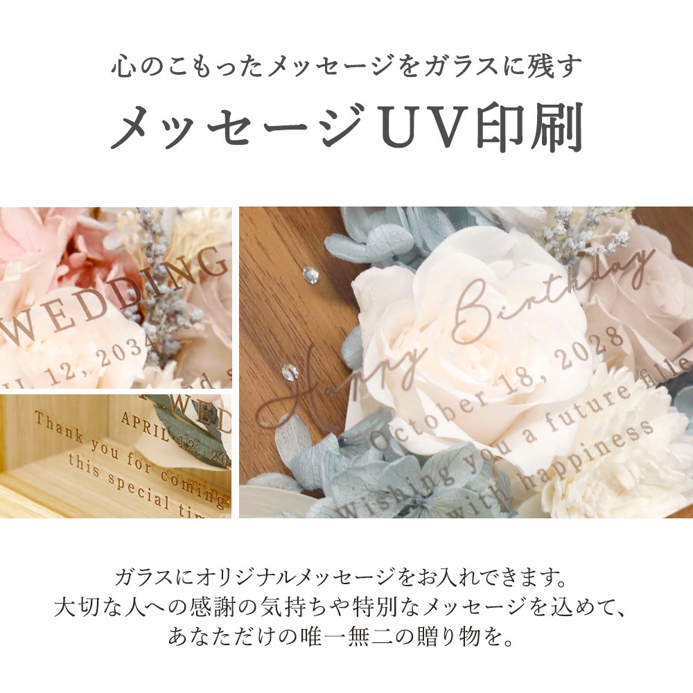 Solage -���顼����-