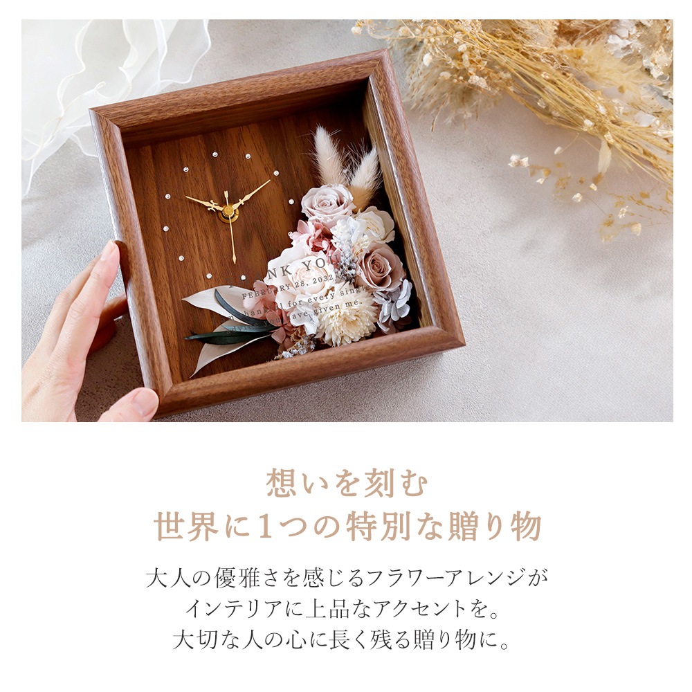 Solage -���顼����-