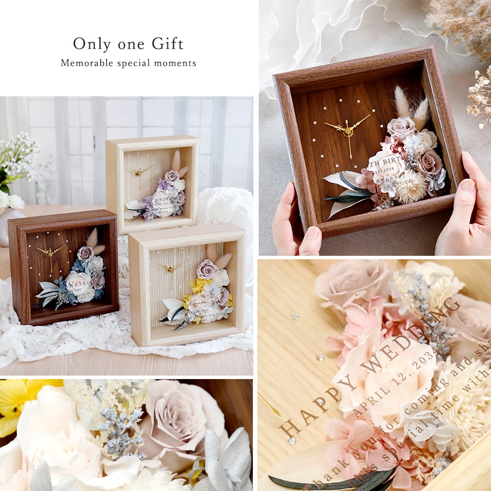 Solage -���顼����-