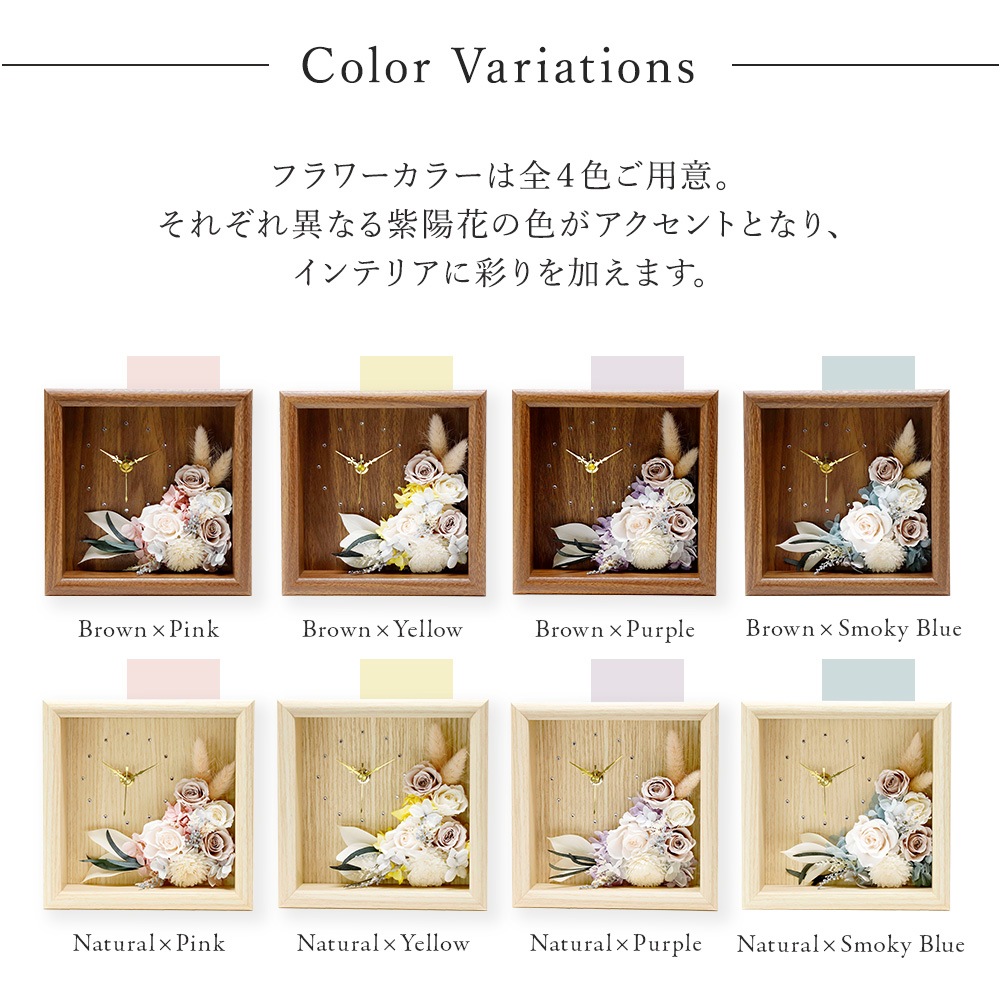 Solage -���顼����-