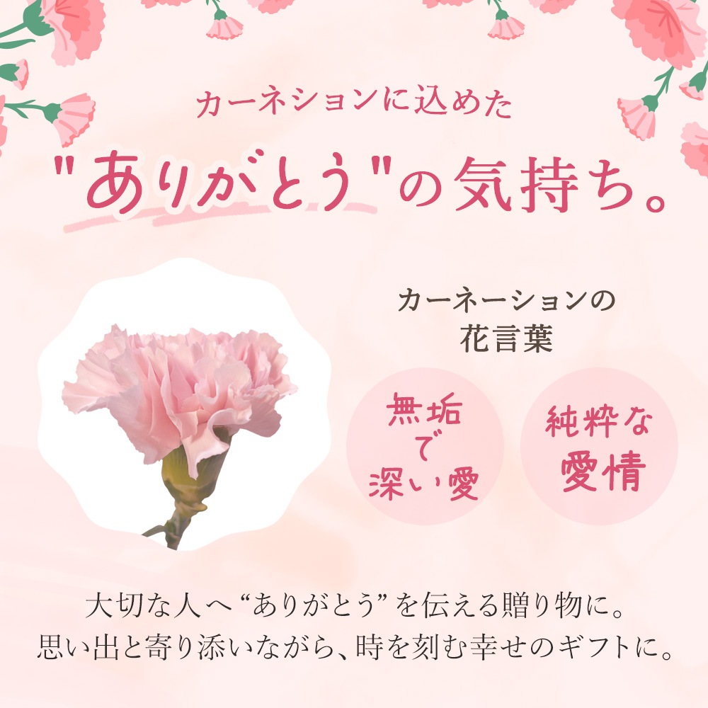 Arvo Pure -������� �ԥ奢-