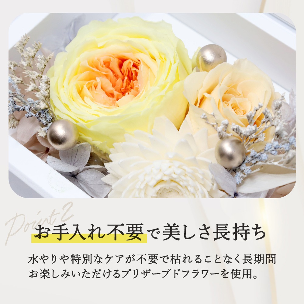 ���clat -������-