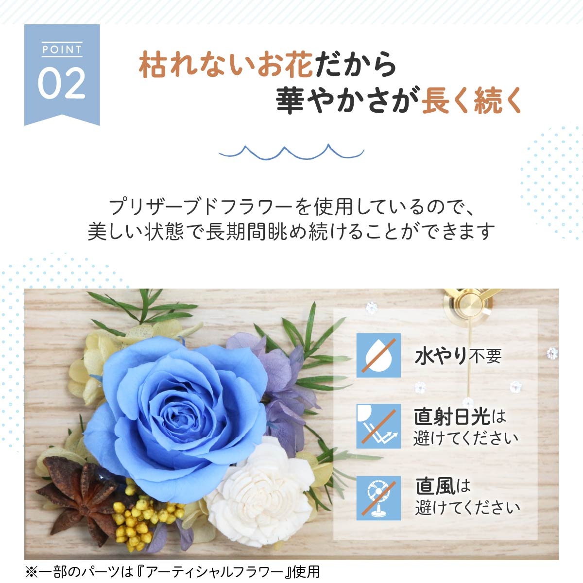 Kanoa(���Υ�)-�����˴��ź��������£��ʪ