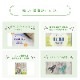 �� REI -��- �����ڥ�����֥顼 ���ѥ��ץ���� �۲���Ȣ�ץ���