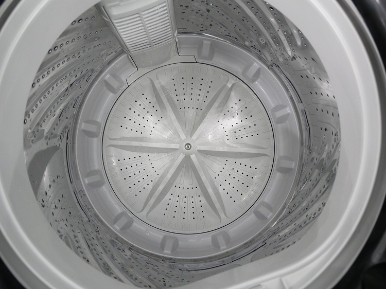 �����ꥹ���������/2024ǯ��/4.5kg/�ŵ�������/TNI-45A1-B