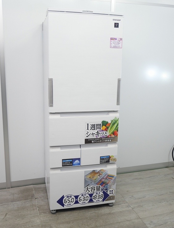 Ÿʡۥ㡼5ɥ/2023ǯ/457L/Υե¢/SJ-MW46K-W