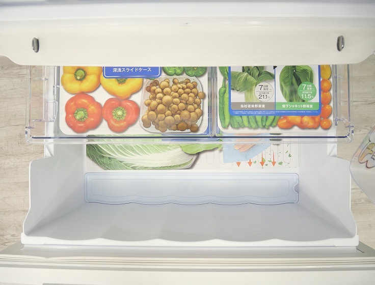 Ÿʡۥ㡼5ɥ/2023ǯ/457L/Υե¢/SJ-MW46K-W