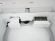 ��Ω��/2017ǯ��/8kg/�������絡/BW-DV80A