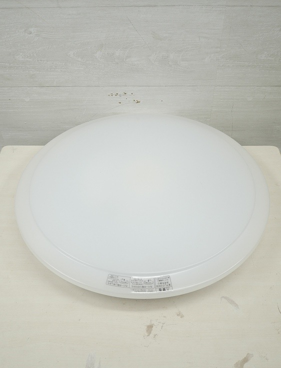 ��ޥ��ŵ���/2021ǯ��/������󥰥饤��(LED)/��12����/YLL-S12J1