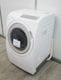 ��̤�����ʡ���Ω��/11kg/�ɥ�༰�������絡/BD-SG110JL