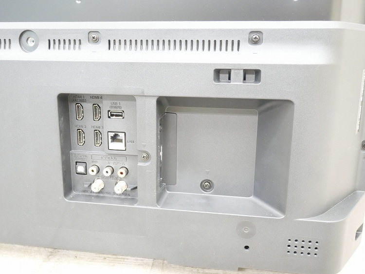 �եʥ���/2020ǯ��/43��/�վ����顼�ƥ��/FL-43U3030