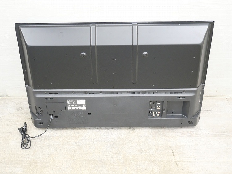 եʥ/2021ǯ/43/վ顼ƥ/FL-43U3030