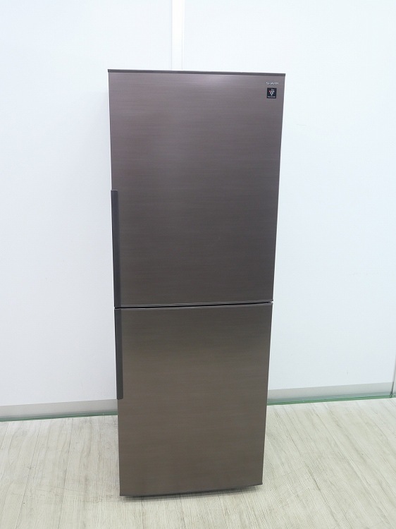 ���㡼����/2024ǯ��/280L/�Υ�ե�����¢�����/SJ-PD28P-T