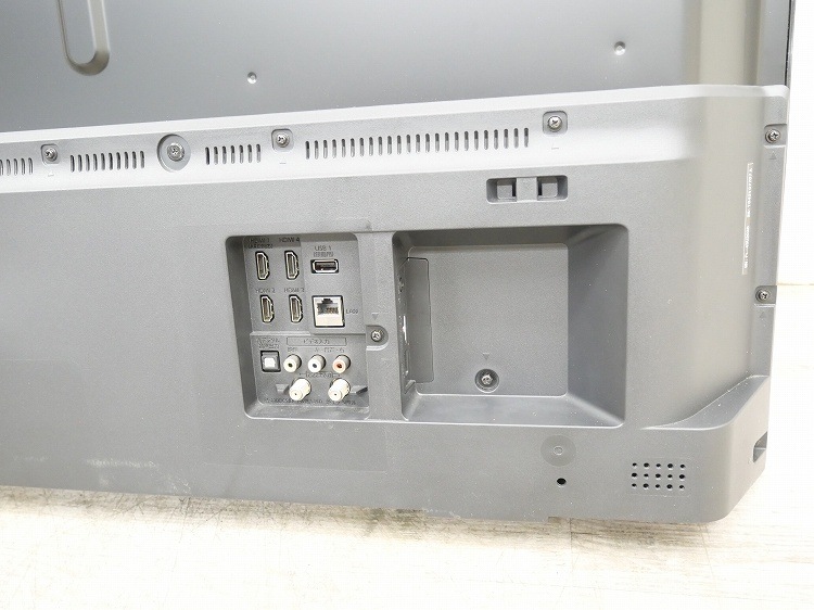 եʥ/2020ǯ/43/վ顼ƥ/FL-43U3030