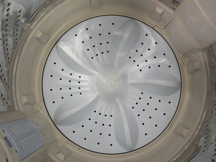 Hisense��/2023ǯ��/5.5kg/����ư������/HW-55E2W
