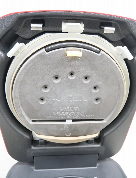 ��Ω��/2020ǯ��/1.0L 5.5��/IH���Ӵ�/RZ-V100CM