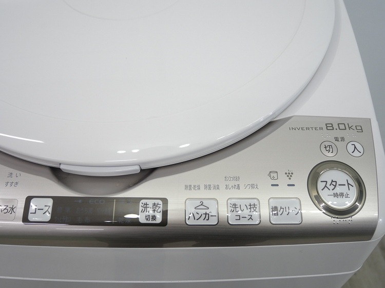 ���㡼����/2022ǯ��/8kg/�ŵ��������絡/ES-TX8FKS