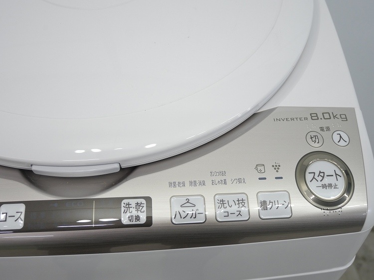 ���㡼����/2022ǯ��/8kg/�ŵ��������絡/ES-TX8FKS