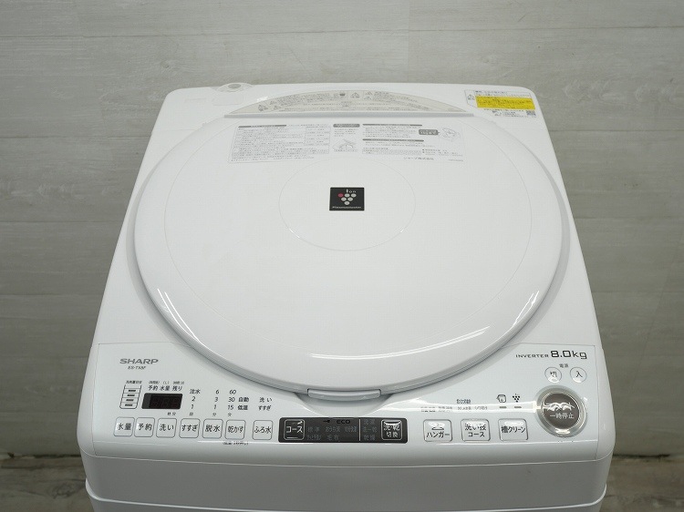 ���㡼����/2022ǯ��/8kg/�������絡/ES-TX8F-W